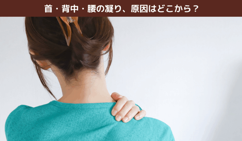 首・背中・腰の凝り、原因はどこから？